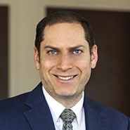 Portrait of David A. Landman