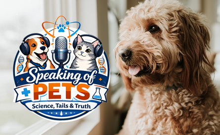 <p>Nolan James was recently featured on an episode of <em><a href="https://soppodcast.com/what-you-can-do-legally-to-provide-for-your-pets-sop-ep-119-attorney-nolan-james" target="_blank">Speaking of Pets</a></em>, where he discusses legal steps pet owners can take to protect their animals if they become unable to care for them.</p>
